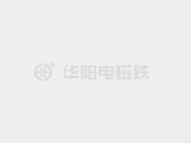 插小逼啊的视频防爆电磁铁的储存和维护较佳实践！